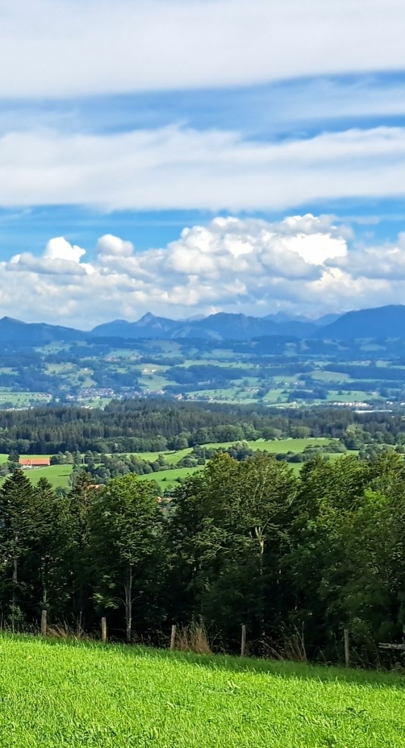 View of the Allgäu Alps