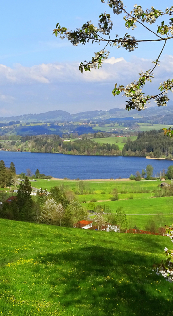 Voralpenlandschaft mit Blick auf  dunkelblauen Niedersonthofener See