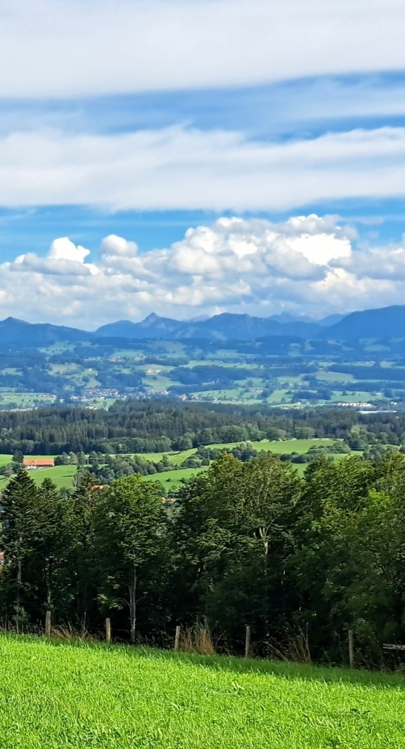 Blick in die Allgäuer Alpen